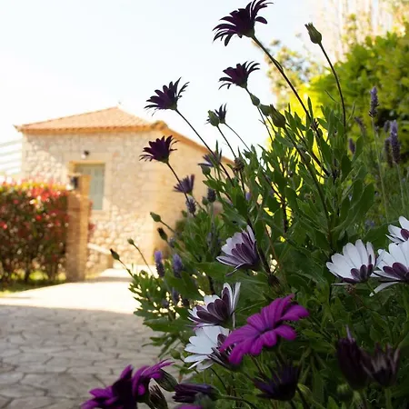 Lithos Villas Villa *